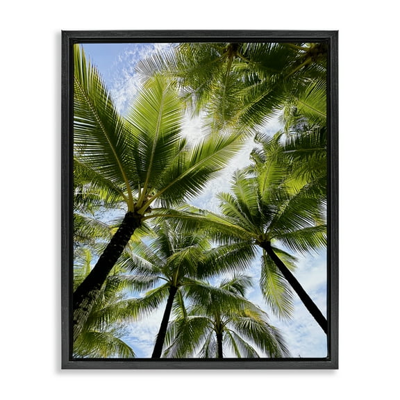 Stupell Industries Overhead Palm Trees Plants & Flowers Photography Black Floater Framed Canvas Art Print Wall Art, 17 x 21