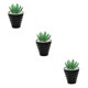 thumbnail image 2 of Bonsái artificial Toystoory con macetas PVC suculentas Tipo 1, 2 of 6