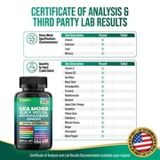 Zoyava Sea Moss Blend, 19,445 MG All-in-One Formula with over 15+ Super Ingredients, Extra Strength & High Potency (180 Capsules)