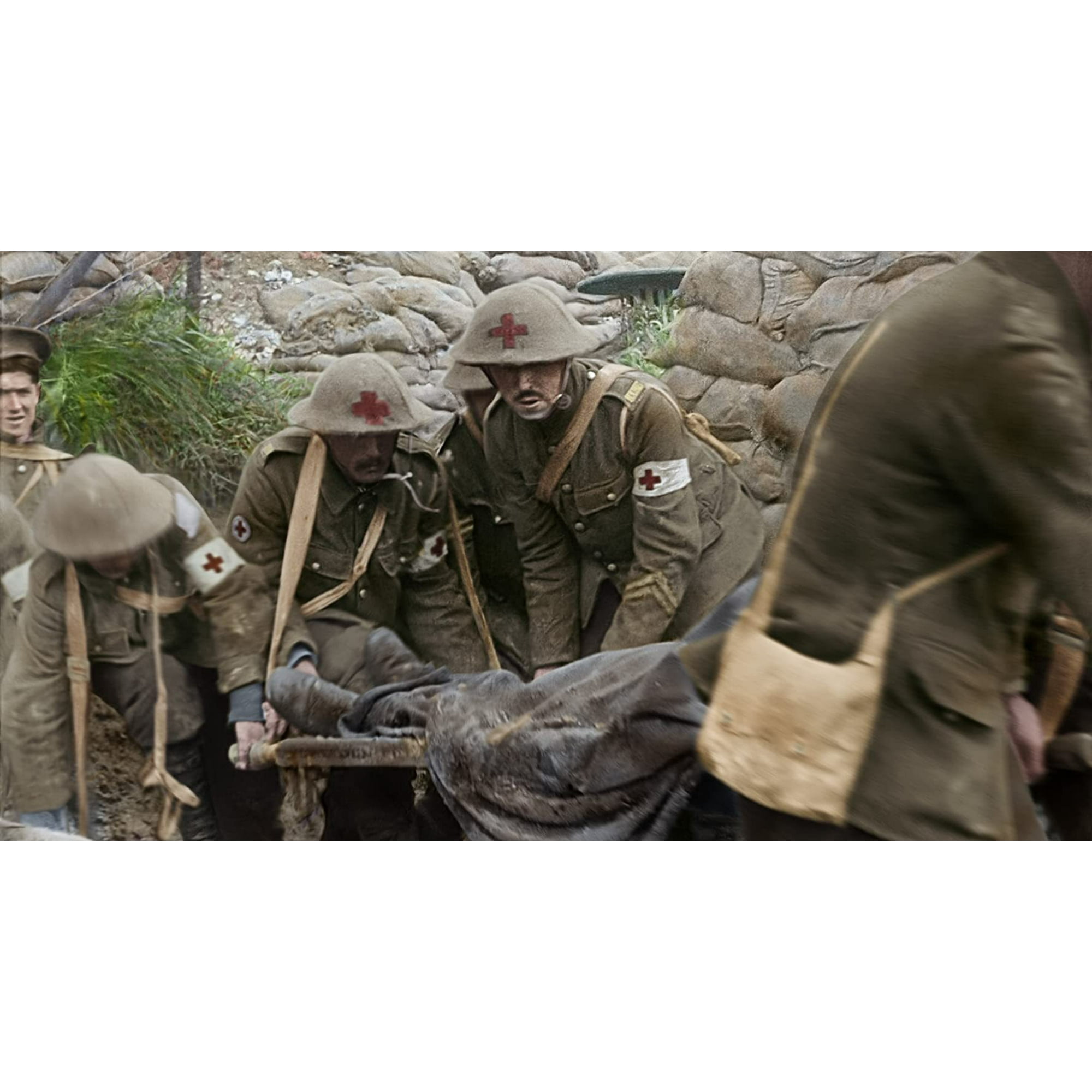 They Shall Not Grow Old Dvd Walmart Canada They Shall Not Grow Old Dvd Walmart Canada