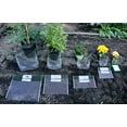 thumbnail image 2 of Diggers 1 Gallon Gopher Baskets, Bulk Pack, 12 Baskets, 2 of 3