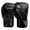 Black/Grey, variant on Hayabusa E1 Boxing Gloves for Kids - Black/Gold, 6oz