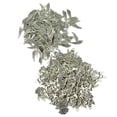 thumbnail image 1 of 150 Piezas de Plata de Tíbet Macarena Ala de Ángel Charms Colgante DIY, 1 of 8