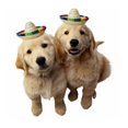 thumbnail image 3 of Greeniant Mini sombrero de paja, sombreros ajustables para perros, gorros transpirables a la moda, sombreros de fiesta amigables con la piel, con Suministros para perros, 3 of 6