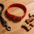 thumbnail image 4 of Adjustable Dog Collar, Waterproof Chew Proof Pet Collar with Double Buckle, Heavy Duty D Ring Strap for Small Medium Large Dogs, 21.7 Inches, 4 of 4