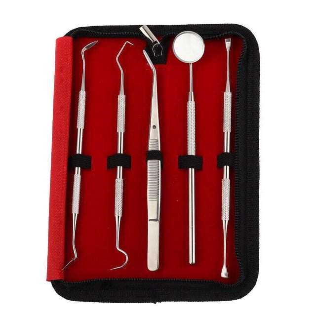 Set dental de 5 piezas, eliminador de sarro, limpieza de dientes, sonda dental, espejo bucal, cuidado dental