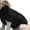 Black, variant on kladzum Dog Sweaters Dog Warm Shirt Fashiom Pet Solid Winter Dog Sweater Knitted Warm Sleeveless Pet Clothes, Soft Puppies Clothing Winter Puppy Sweaters Warm Outfit