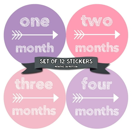 monthly milestone stickers for baby girl month stickers baby