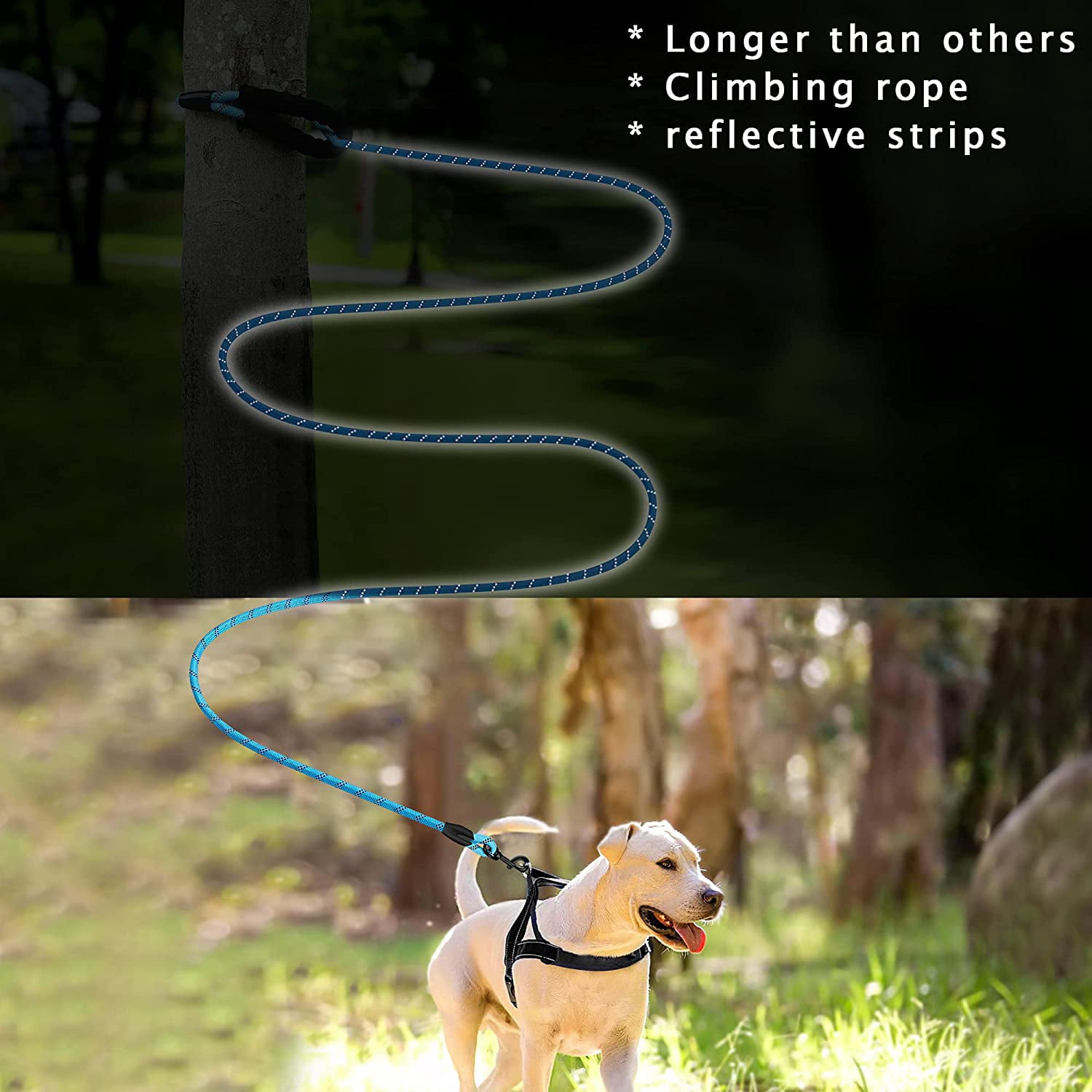 Comfortable Padded Handle Strong No Glue Plastic Buckle,Leashes for Medium Dogs,Small Dogs 13.1Ft Long Leash for Dog Training,INTINI Leashes for Large Breed Dogs with Nylon Rope Highly Reflective 