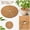 2, variant on 2/4/6/8/10 Pack Natural Coconut Fiber Plant Pot Mulch Disc,7.87 Inch Round Coco Coir Weed Prevent Soil Protection Mat(2pc)