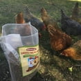 11 LBS Bulk Dried Mealworms for Wild Birds, Chichens, Duck etc