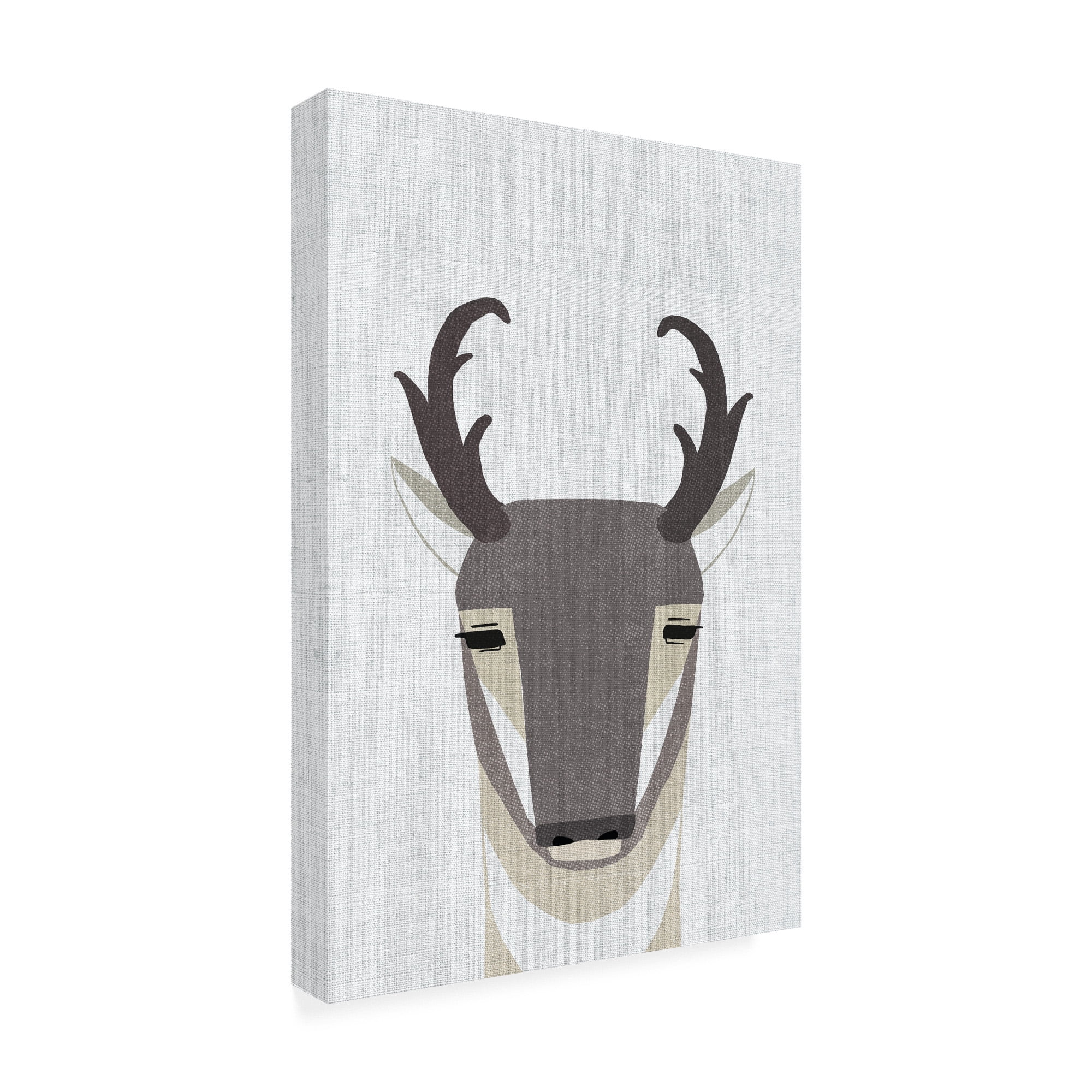 Trademark Fine Art 'Pronghorn Antelope' Canvas Art by Annie Bailey Art