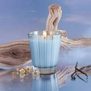 Nest New York Wellness Driftwood & Chamomile Classic Candle 8.1oz New Boxed Gift