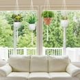 thumbnail image 7 of Prdigy 4PCS Macrame Plant Hanger for Inside, Hanging Planters for Indoor Plants with 4 Hooks, 2 Size, 4 Legs Structurally Stable Cotton Rope Hanging Plant Holder for Boho Home Decor, 7 of 7