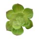thumbnail image 2 of Suculentas falsas Yuarrent 10 piezas plantas simuladas decorativas tipo 13, 2 of 6