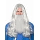 thumbnail image 1 of Kit de accesorios para disfraces UNDERWRAPS Halloween Wizard Grey, 1 of 1