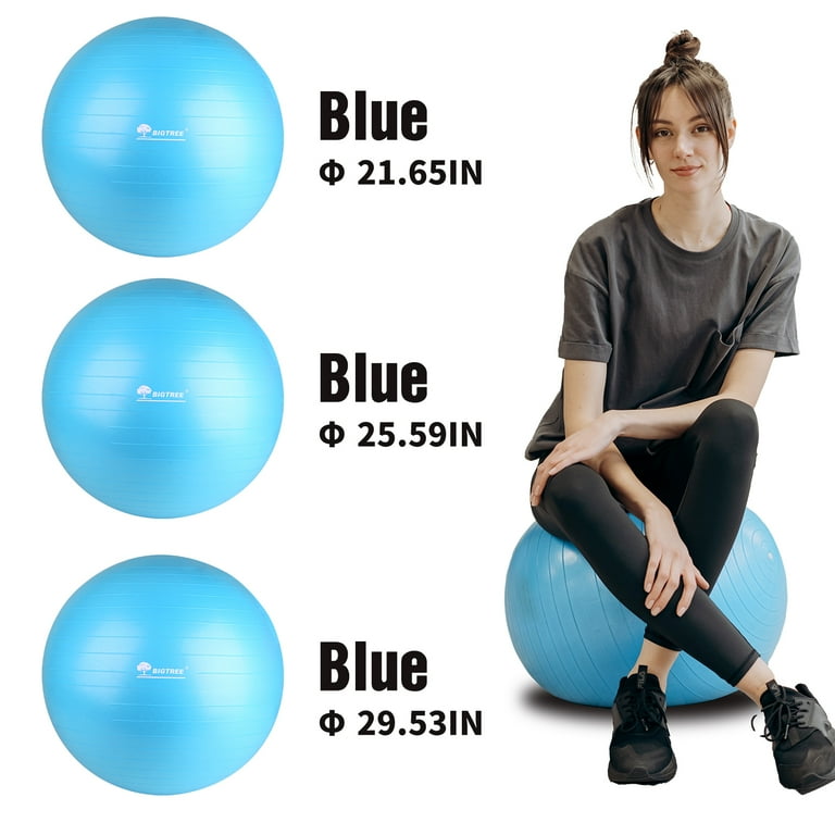 Yoga Ball Exercise Balls Heavy Duty Swiss Ball Anti-Burst Heavy