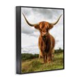 thumbnail image 2 of Stupell Industries Farmhouse Highland Cattle Long Horns Grazing Farm Ranch Black Framed Giclee Art, 11 x 14, by James Dobson, 2 of 7