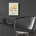 thumbnail image 5 of Epic Art 'Calming Mushrooms' by Yass Naffas Designs, Acrylic Glass Wall Art, 12"x16", 5 of 8