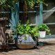 thumbnail image 4 of YSNOOWE Soporte Para Plantas Trepadoras De Metal Con Para Uso En Interiores Y Exteriores, 4 of 8