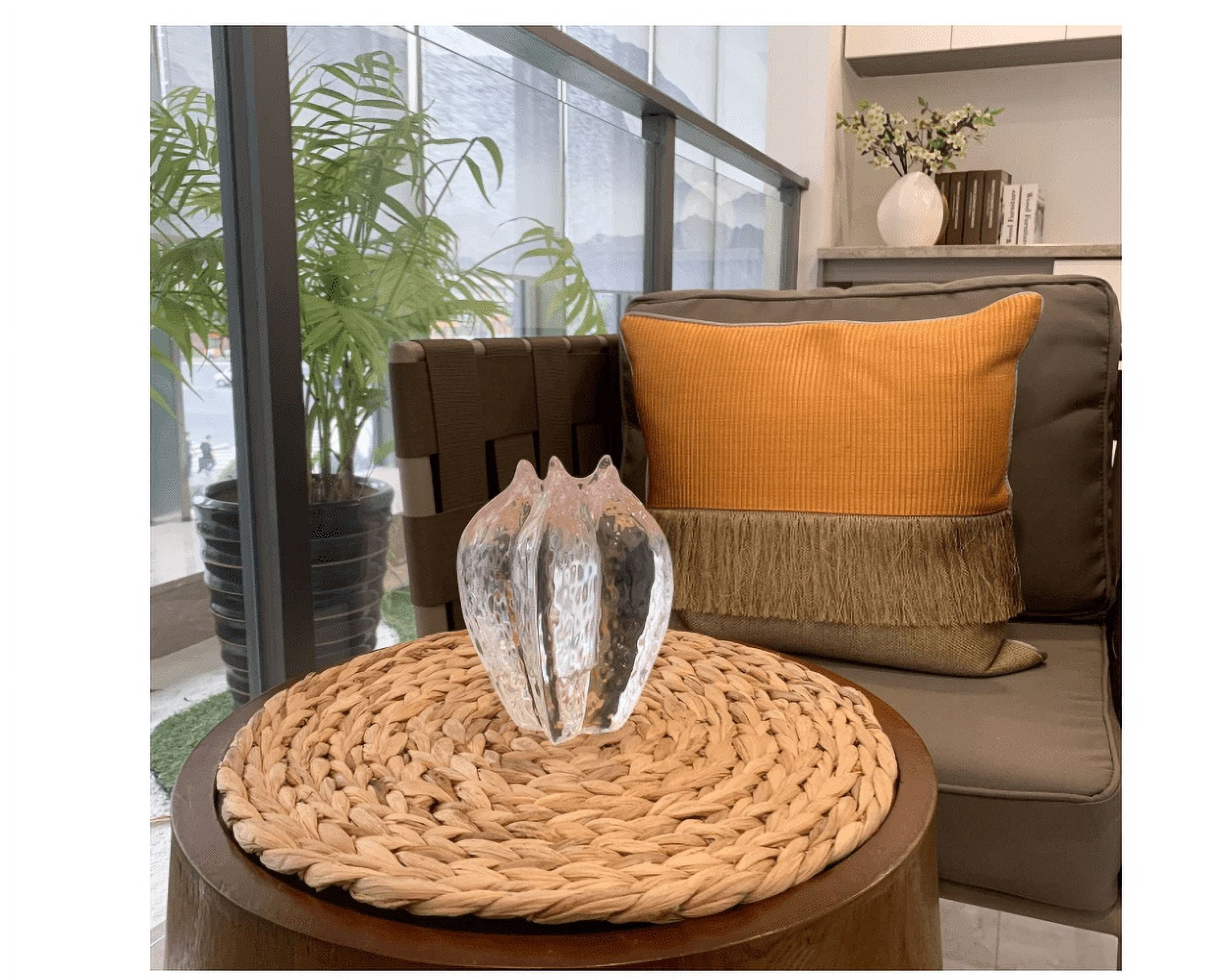 4 Pack Woven Placemats,Natural Water Hyacinth Weave Placemat Round Braided Rattan Tablemats 14 inch