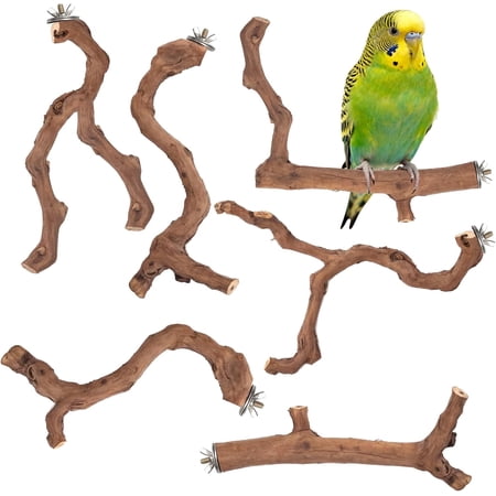 6-Piece Premium Bird Perch Stand with Natural Grape Wood Branch, Paw Grinding Fork, Chewing Stick, Cage Accessories for Parakeets, Budgies, Cockatiels, Finches, Lovebirds