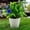 D, variant on Artificial Flowers,Artificial Potted Flower Flowers In Pot Rose Bouquet Decoration Plants Arrangement For Table Centerpieces Home
