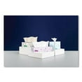 thumbnail image 2 of Cascades PRO F950 2-Ply Select Flat Box Facial Tissue - White (30 Boxes/Carton), 2 of 6