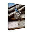 thumbnail image 2 of Trademark Fine Art 'Weathered Wood' Canvas Art by Ron Parker, 2 of 3