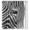 thumbnail image 1 of Cortina de ducha Impermeable ABPHQTO Zebra Face Tear Art 160x180 cm, 1 of 2