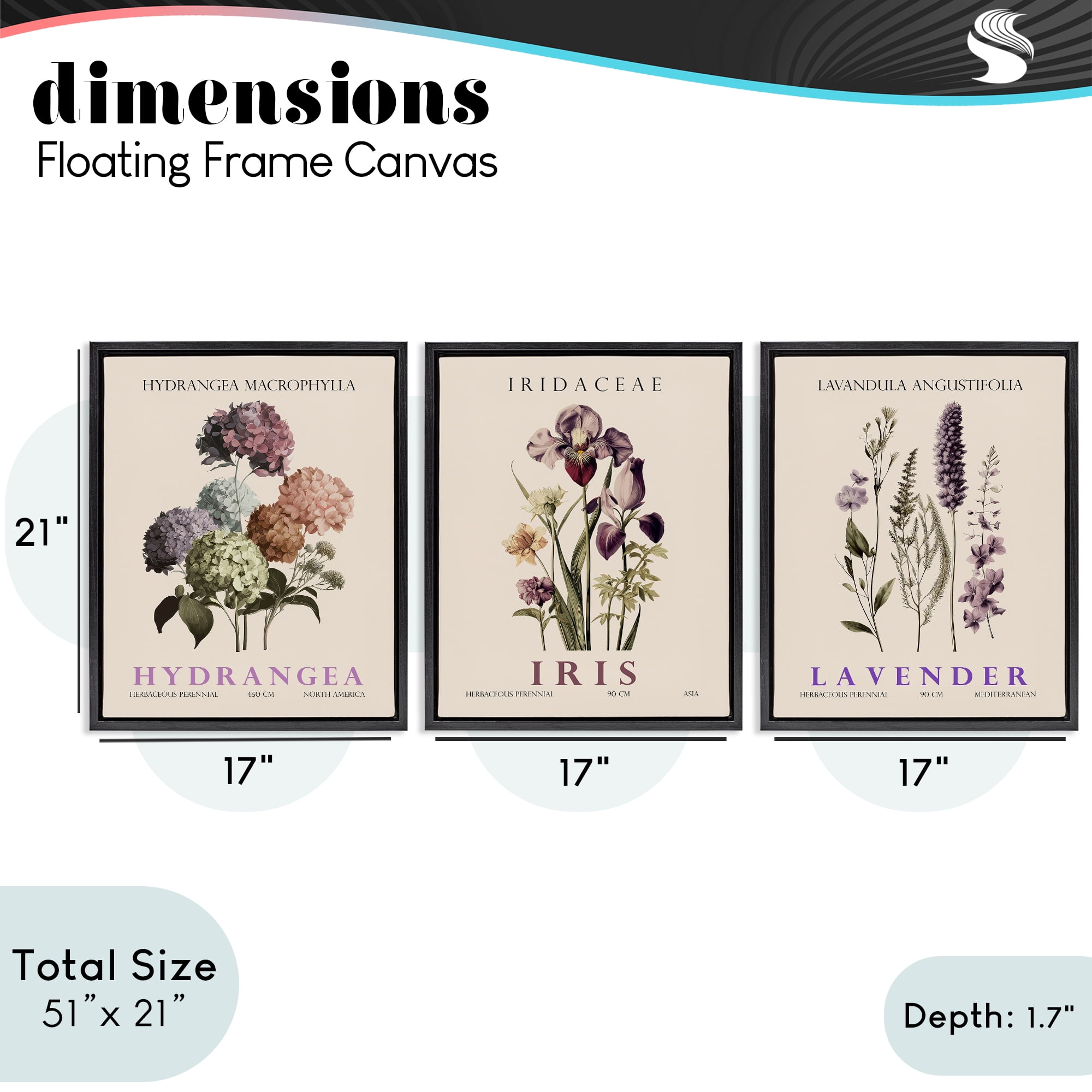 Stupell Industries Botanical Bundles & Sprigs 3 Piece Black Framed Floater Canvas Set, design by Christopher Giampietro