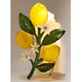 thumbnail image 1 of Lemons On Branch Nightlight Wallflowers Scent Control™ Wallflowers Fragrance Plug, 1 of 1