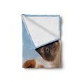 thumbnail image 2 of Funny Soft Flannel Fleece Throw Blanket, Cat and Dogs Domestic Home Pets Friends Hilarious Expressions Sky Clouds Collage, Cozy Plush for Indoor and Outdoor Use, 50" x 70", Multicolor, by Ambesonne, 2 of 6