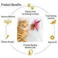thumbnail image 3 of Amusing cat toy, retractable cat wand toy, cat feather toy with silicone collar, interactive cat toy for indoor exercise/Blue+Pink/2PCS, 3 of 6