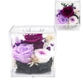 thumbnail image 5 of Boîte de Rangement en Acrylique Transparent Compatible Anti-Poussière pour Objets de Collection, Fleurs Préservées Diorama de Roses 4 Pcs, 5 of 5