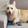 thumbnail image 3 of Juguete para Mascotas Petstages Orka Hueso 230 Azul, 3 of 8