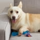 thumbnail image 3 of Juguete para Mascotas Petstages Orka Hueso 230 Azul, 3 of 8