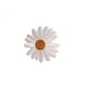 thumbnail image 1 of 4 parches bordados delicados de margaritas, parches de flores bordadas, parches para planchar, parches para coser apliques LingWen 8390611013271, 1 of 1