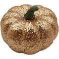 thumbnail image 6 of Set of 10 Pumpkins & Gourds Harvest Decorations - Great for Table Decor and Festive Baskets!, 6 of 6