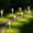 NUAN, variant on Fohil 10 Pack Solar Pathway Lights Outdoor, Waterproof Solar Garden Lights LED Stainless Steel Solar Lights for Walkway Path Driveway Patio Yard Lawn Decor Cool White