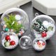 thumbnail image 2 of Superventas, bola de acrílico transparente de 3-20cm, decoración hueca abierta, flor inmortal, regalo de Navidad, bola de plástico Sincero Hogar, 2 of 6