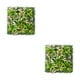 thumbnail image 1 of Injueey Colgante de pared de plantas artificiales, exquisito colgante de larga duración para baile de graduación, ahorro de espacio, Type4 NO4, 1 of 6