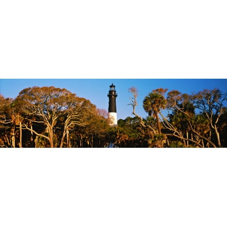 Trees around a lighthouse Hunting Island Lighthouse Hunting Island State Park Hunting Island Beaufort South Carolina USA Poster