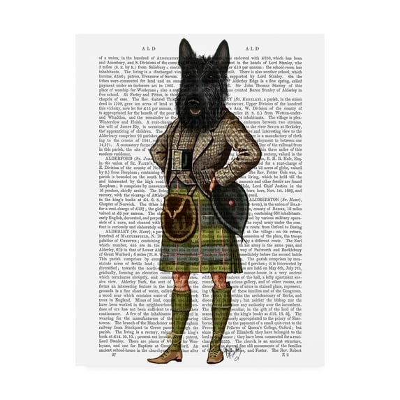 Trademark Fine Art 'Scottish Terrier In Kilt' Canvas Art by Fab Funky