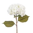 thumbnail image 2 of 32.5" x 9" White Hydrangea Stem 3/Bag, 2 of 2