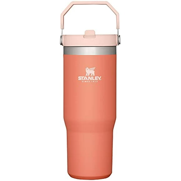 Stanley IceFlow Stainless Steel Tumbler with Straw - Vacuum Insulated Water Bottle for Home, Office or car - Reusable cup with Straw Leakproof Flip -