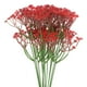 thumbnail image 1 of Uxcell 12-Pack Artificial Baby's Breath, Faux Gypsophila Plastic Bouquets for Home Decor/Wedding[Rojo], 1 of 1