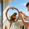 thumbnail image 4 of Natural Parrot Stand Play Gym Activity Center for Conures Lovebirds Small Birds Decoration, 4 of 6