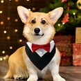 thumbnail image 3 of Collier Bandana de Mariage pour Chien avec Nœud Papillon Designs Collier Ajustable Formel Nœud Papillon pour Chien, 3 of 5