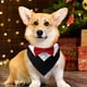 thumbnail image 3 of Bandana de boda para perro, Collar para perro con diseños de pajarita, Collar ajustable, pajarita Formal para perro Tux Zhivalor CPB-SSW509-3, 3 of 5